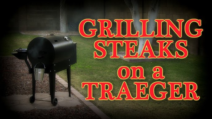 Traeger Pro Series 22-Inch Wood Pellet Grill W/ MEATER+ Smart Meat  Thermometer : BBQGuys