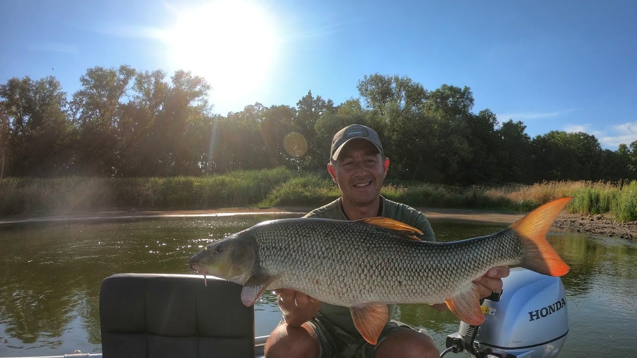 Kalendarz brań odra 4