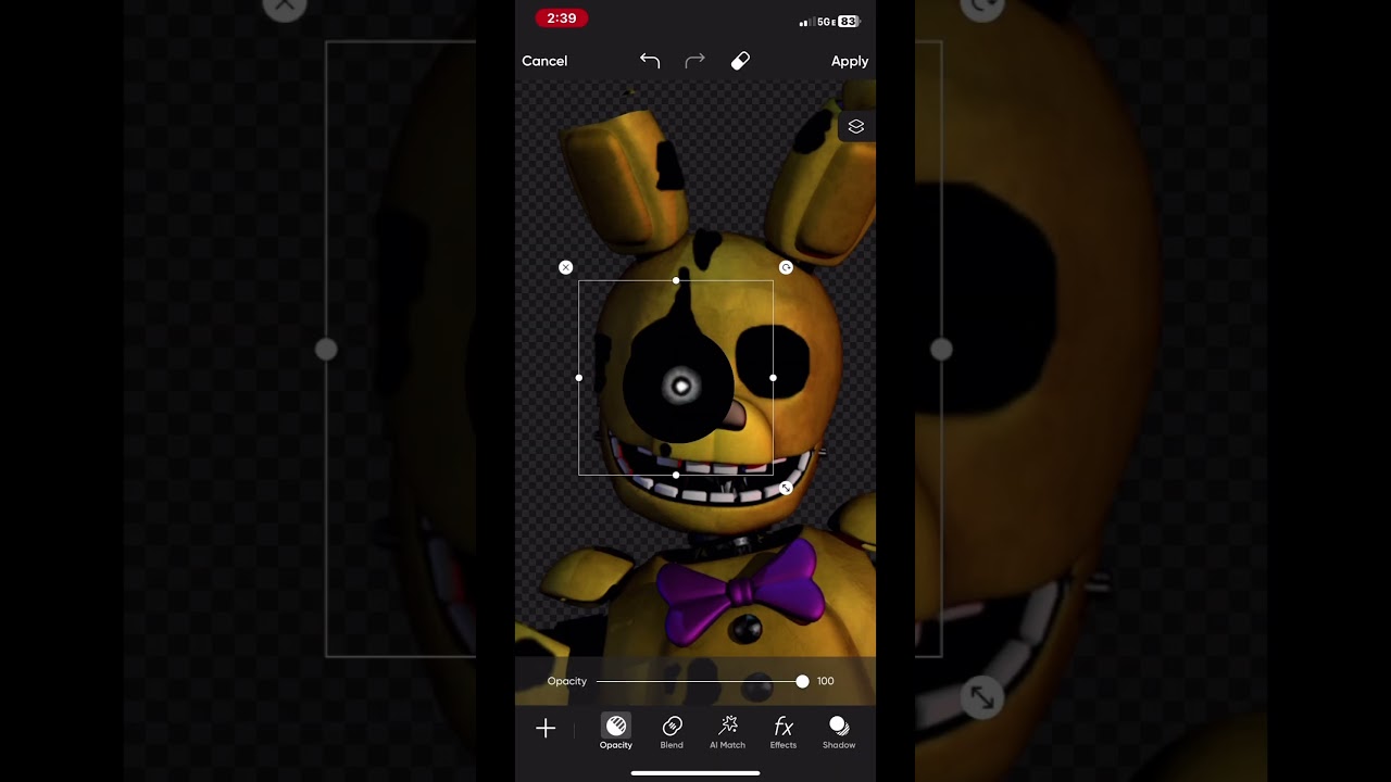 preview_player