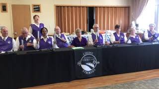 Stroke Chimers perform Let Me Do at OSF Saint Francis Medical Center