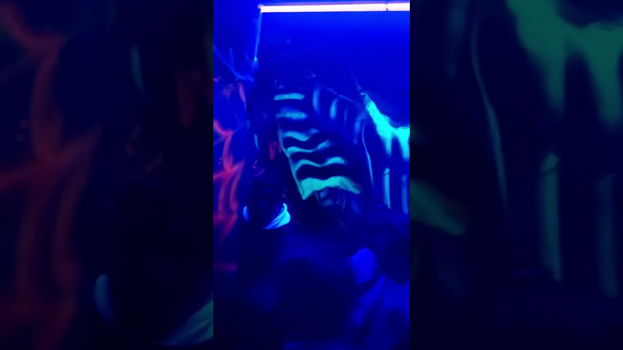 En la Cripta del terror. Pekos, Carlos Paz.👹👻