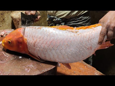 Rakib fish official is live!🐟 Big fish desi style cutting Bangladesh ranga mati 🐟 cutting 💗