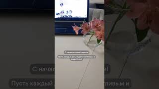 #shortvideo #video #удаленнаяработа