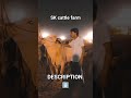 SK cattle farm| white beauty| demand 750lac