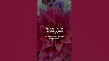 ‎📖| سورة القصص  ‎🎙| القارئ رعد الكردي