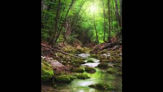 Down in the River to Pray Cover