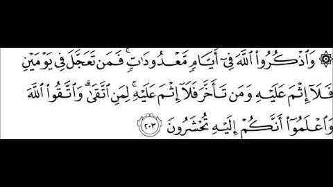 القرآن الكريم - سورة البقرة من اية 203 الى اية 232 - بصوت الشيخ صلاح با عثمان