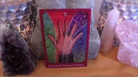 Weekly Reading | January 28 - February 3 2013