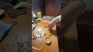 Детали такие мелкие, что, кажется, собираю конструктор для муравья. 🐜