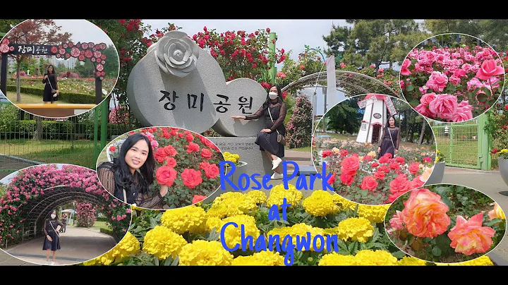 Rose Park at Changwon city |   | shiela magdaiton jo