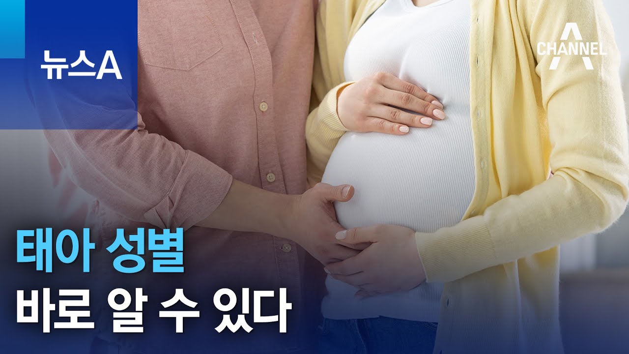 태아 성별 바로 알 수 있다 | 뉴스A