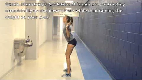 Caitlin Donahue- The Back Squat ATTR 2400