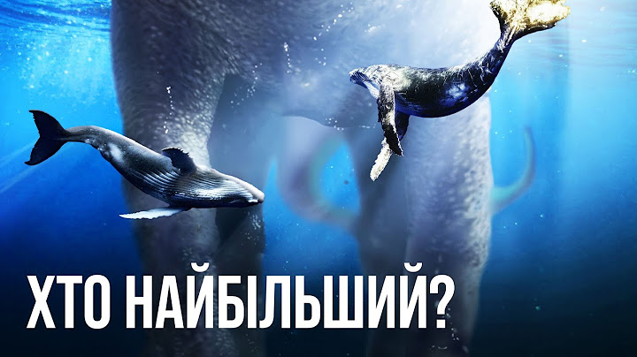 ТОП найбільших створінь, які коли-небудь існували на Землі