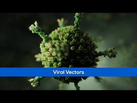 Medical Animation -