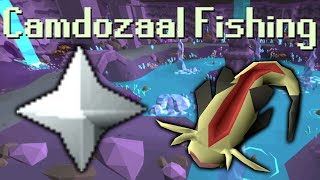 [OSRS] F2P Camdozaal Fishing/Cooking/Prayer