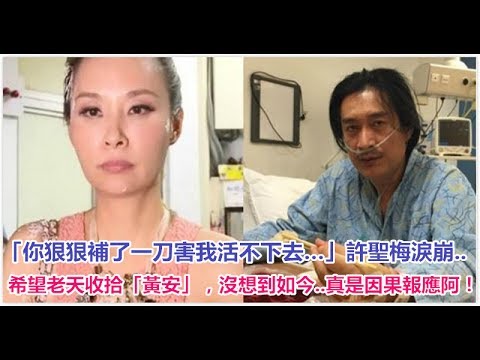 「你狠狠補了一刀害我活不下去…」許聖梅淚崩…希望老天收拾「黃安」，沒想到如今…真是因果報應阿！