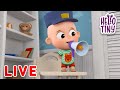 [🔴LIVE ] Bingo and more! | Hello Tiny Best Kids Songs and Nursery Rhymes for kids