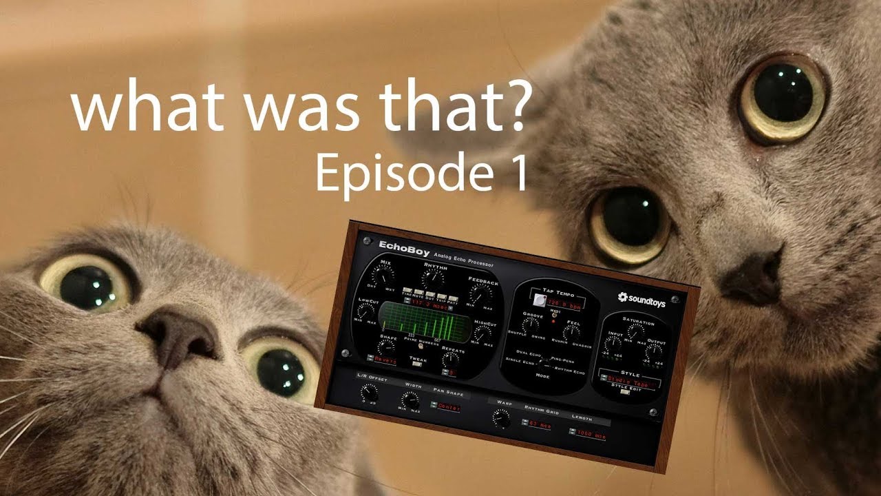 ableton live 10 What was that? Ep.1 Odd rhythm with Echoboy