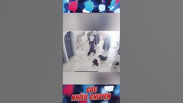 Chết cười: Chú chuột làm tưởng ống quần chị gái là cái hang :]]] #OKVIP #OKVIPGocnhieuchuyen #shorts