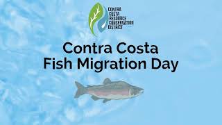 Fish Migration Day 2025