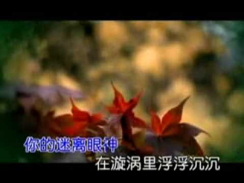 《HANDOKO LIU -S.K.W-郑源的歌》
