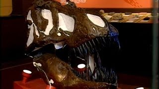 Illinois Adventure #1401 "Museum of Geology at Western Illinois University"