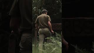Purdey Global Sporting