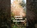 РџСЂРµРјСЊРµСЂР РЎН РїН РѕН Р Н Н РЅН Р Н РјН Н РњН РёН С Н Р Н в ўв в Єв в Ўв Єв Ўв РїСЂРµРјСЊРµСЂР РЅРѕРІРёРЅРєР РјРёС Р СЃРІРёСЃСЃ РџСЂРµРјСЊРµСЂР РЎН РїН РѕН Р Н Н РЅН Р Н РјН Н РњН РёН С Н Р Н в ўв в Єв в Ўв Єв Ўв РїСЂРµРјСЊРµСЂР РЅРѕРІРёРЅРєР РјРёС Р СЃРІРёСЃСЃ