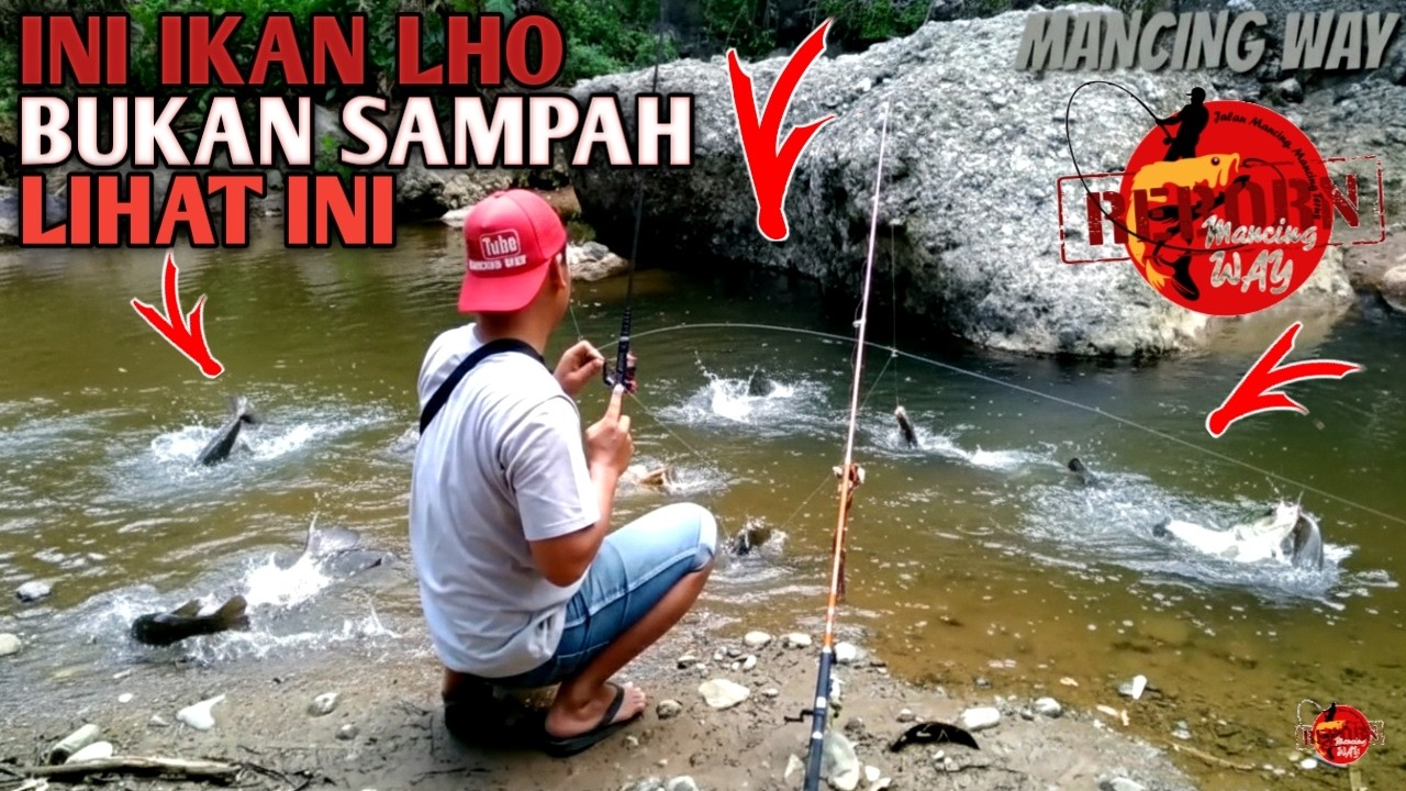 ASTAGA GACOR DOR...!!! Dikira Sampah Ternyata Gerombolan Ikan Auto Panen Ikan Babon Plung Nyut Edan