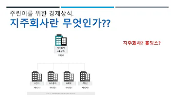 주린이를 위한 경제상식 지주회사 홀딩스는 무엇인가 지주회사의 역할