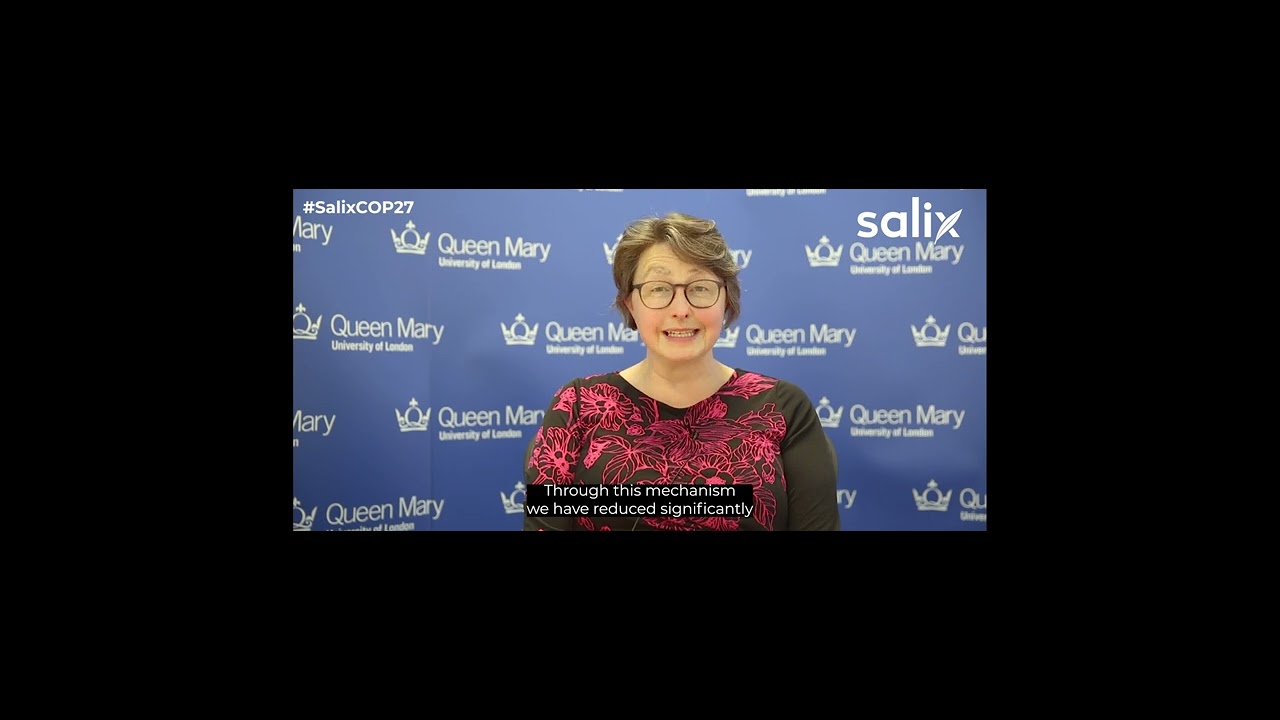 Queen Mary University of London's decarbonisation work - 