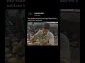 Snake venom and human blood ! #snake #trending #shortvideo #factfinder #entertainment #viralvideo