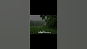 الصَوت راحة نفَسية #اللهم_صل_وسلم_على_نبينا_محمد #قران_كريم #تلاوات_مؤثره_جدا #توعية_إسلامية