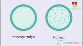 Ki gyógyította a prosztatitis gyógynövényeit