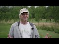 Agroforestry in the UK