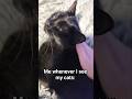 so cute! #kittens #cute #fyp #blackcat