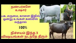 பசு, எருமை,காளை கனவில் வந்தால் நிச்சயம் இது நடக்கும்/பசு கனவு பலன்/எருமை கனவு பலன்/காளை கனவு பலன்