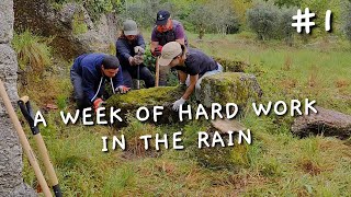 #1 - We did some stuff on our Portugal property!