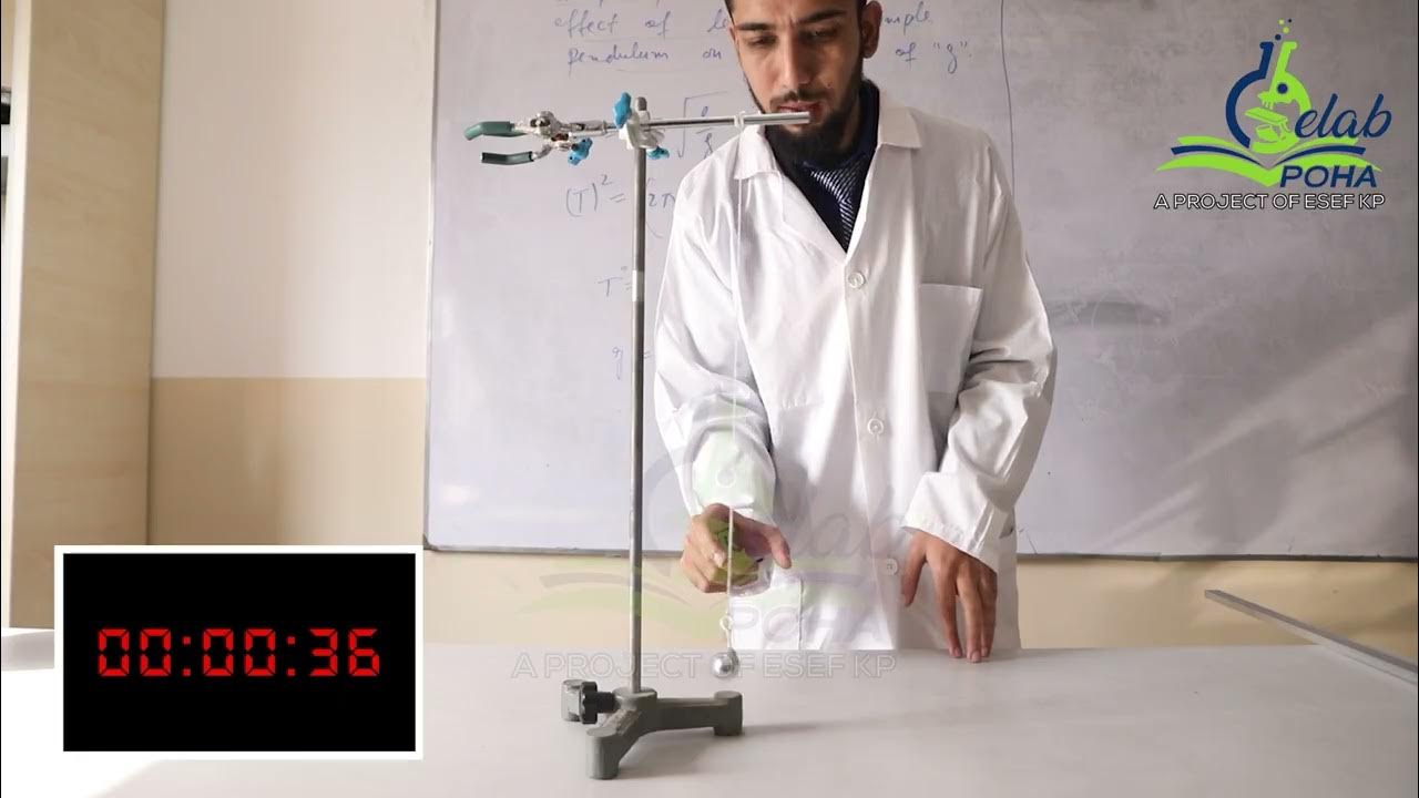 Prove that time period of Simple Pendulum is independent of the mass of