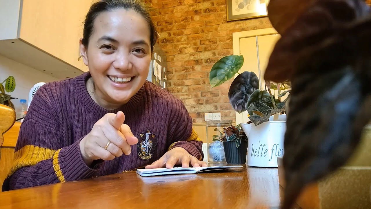Wishlist Plants 2020 | Rare, Uncommon & Common Plants Lists - YouTube