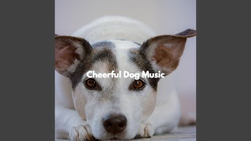 Sultry Forgetting Mirrors