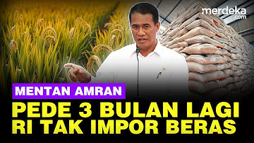 Mentan Amran Pede Tiga Bulan Swasembada Pangan Terwujud, RI Tak Lagi Impor Beras