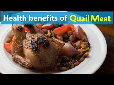 Health benefits of Quail Meat 