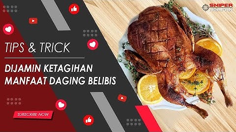 16 Manfaat Daging Belibis untuk Kesehatan Tubuh