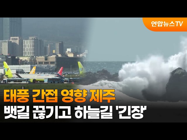 태풍 간접 영향 제주…뱃길 끊기고 하늘길 '긴장' / 연합뉴스TV (YonhapnewsTV)