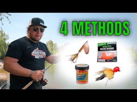 4 Beginner TROUT