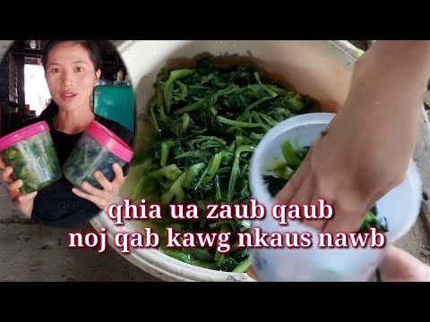 Video: Yuav Ua Li Cas Thiaj Ua Zaub Beetroot Kua Zaub