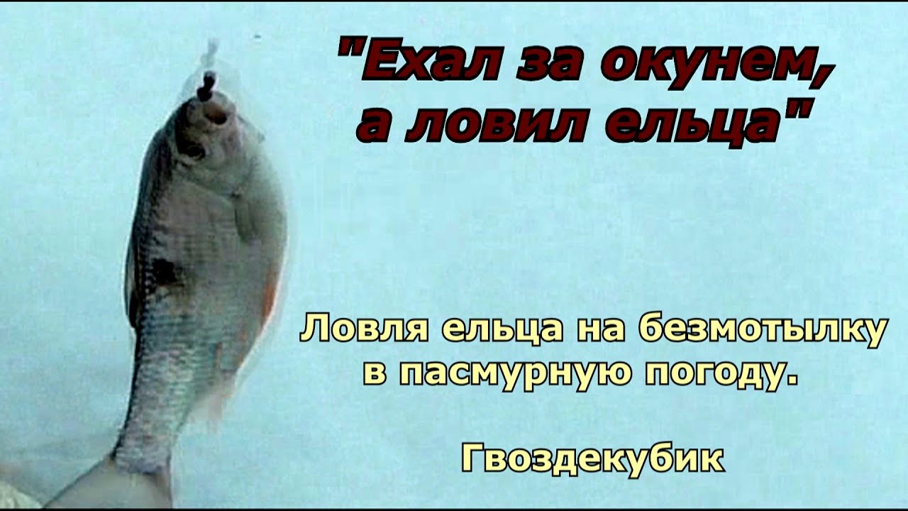 Лужок близ оки
