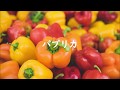 【合唱】パプリカ