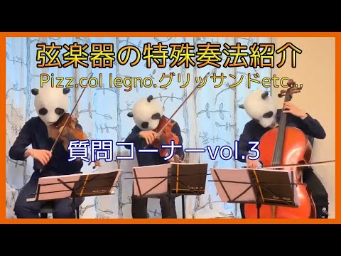 【質問コーナー③】弦楽器の特殊奏法編！（バイオリン、チェロ、ビオラ）